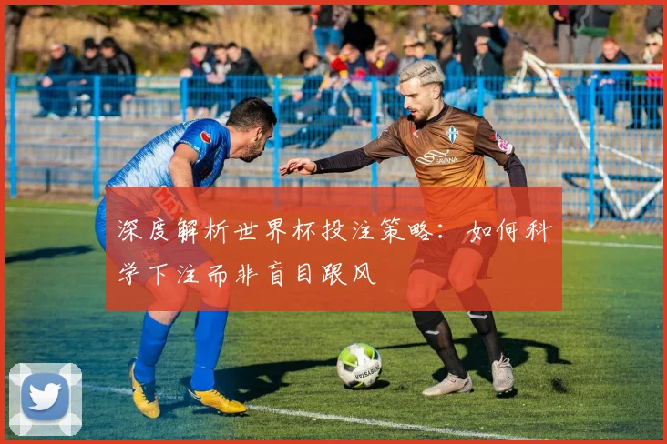深度解析世界杯投注策略：如何科学下注而非盲目跟风