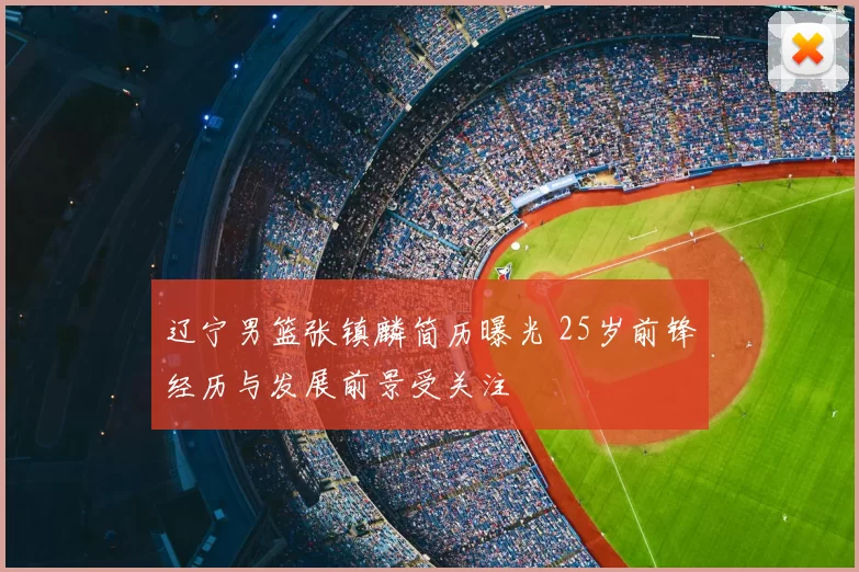 辽宁男篮张镇麟简历曝光 25岁前锋经历与发展前景受关注