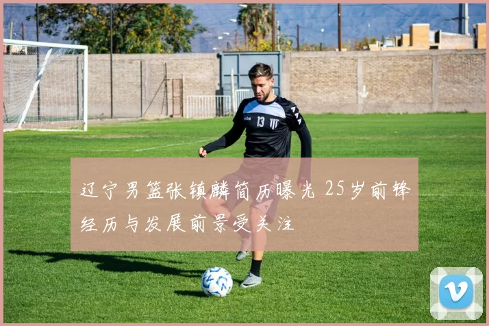 辽宁男篮张镇麟简历曝光 25岁前锋经历与发展前景受关注