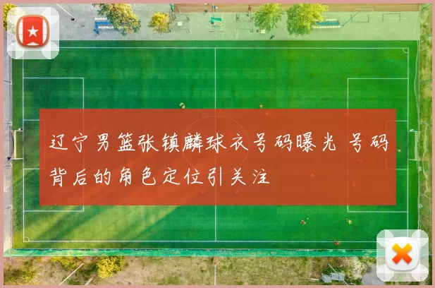 辽宁男篮张镇麟球衣号码曝光 号码背后的角色定位引关注