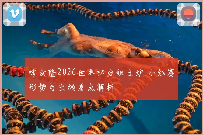 喀麦隆2026世界杯分组出炉 小组赛形势与出线看点解析
