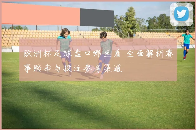 欧洲杯足球盘口哪里看 全面解析赛事赔率与投注参考渠道