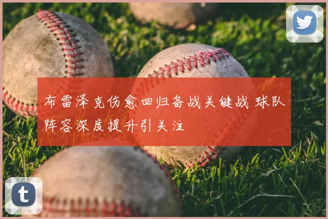 布雷泽克伤愈回归备战关键战 球队阵容深度提升引关注