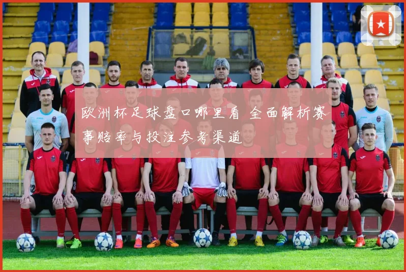 欧洲杯足球盘口哪里看 全面解析赛事赔率与投注参考渠道
