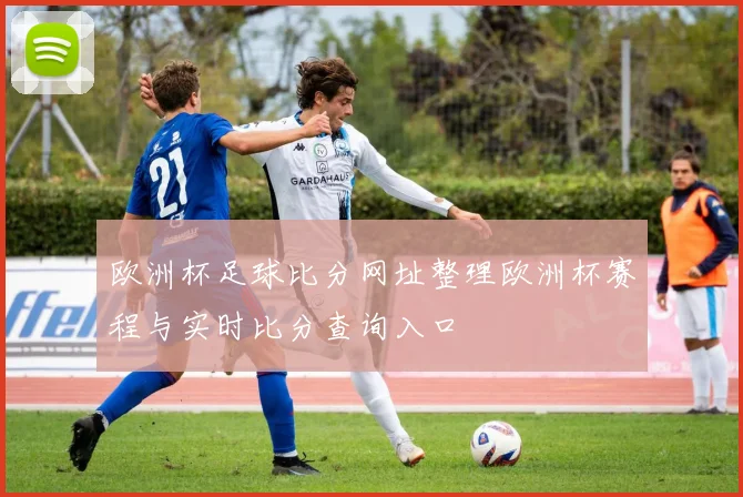 欧洲杯足球比分网址整理欧洲杯赛程与实时比分查询入口