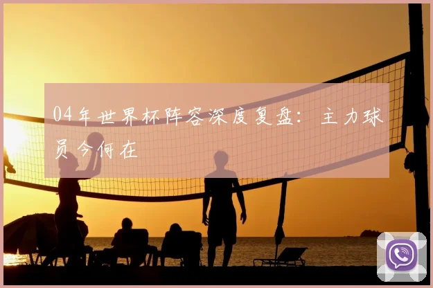 04年世界杯阵容深度复盘：主力球员今何在