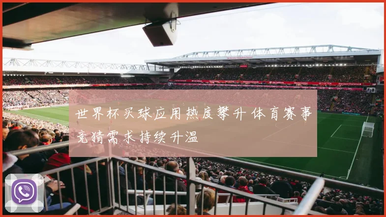 世界杯买球应用热度攀升 体育赛事竞猜需求持续升温
