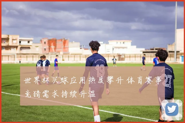 世界杯买球应用热度攀升 体育赛事竞猜需求持续升温